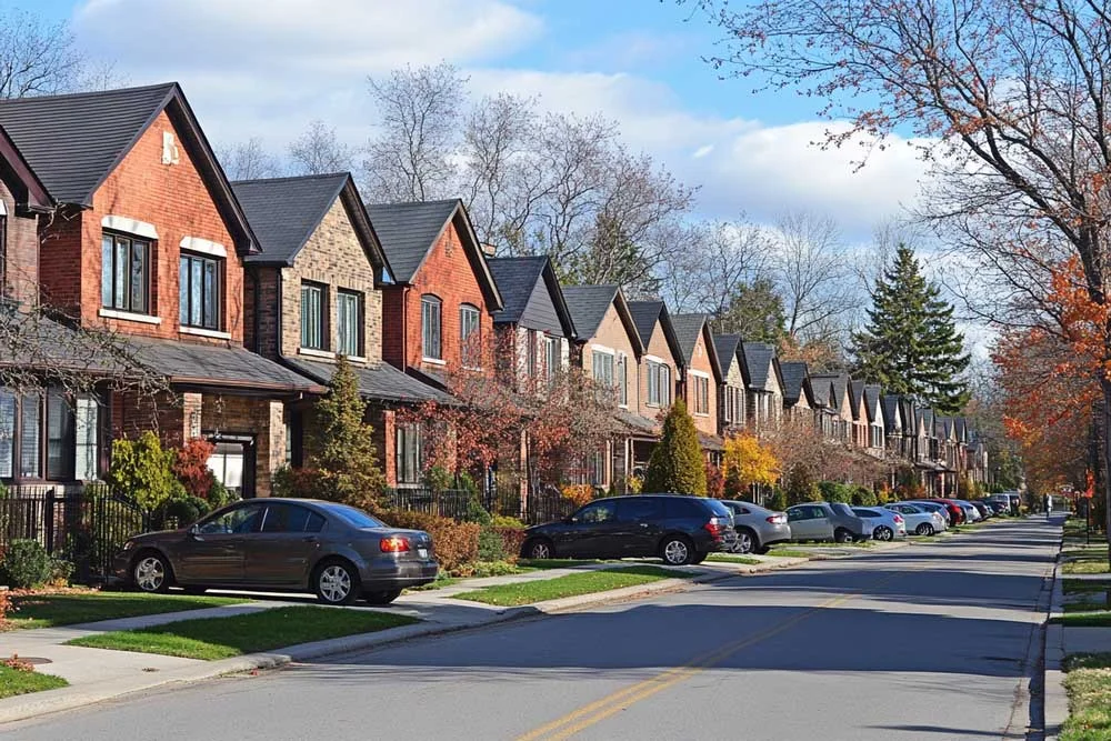 Pest control services in Brampton